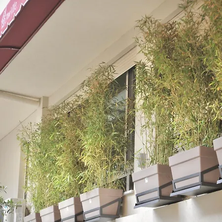 Fleeville Kozi 4 Durrës